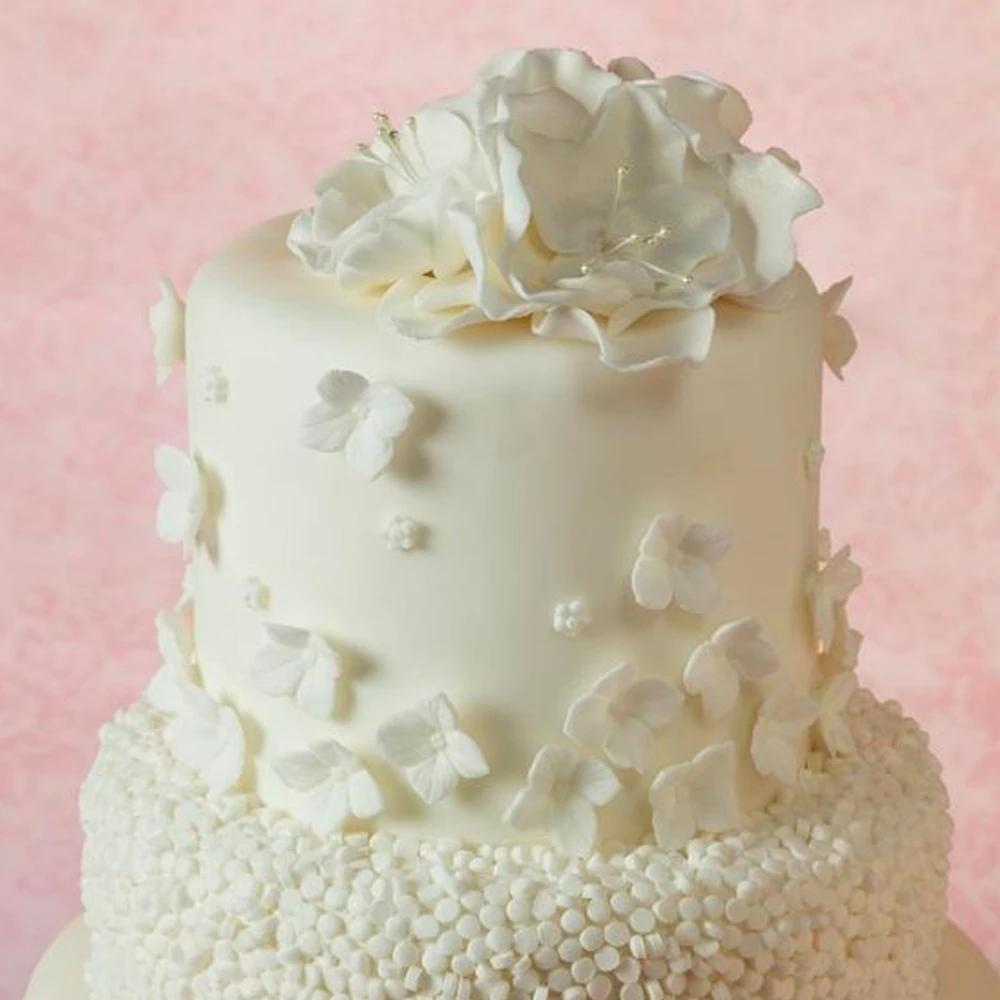 Bako Select White Sugarpaste