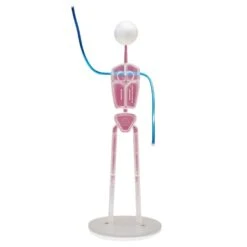 Molly Robbins Large Fast Figure